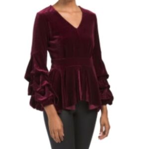 Luxurious Velvet Burgundy Blouse